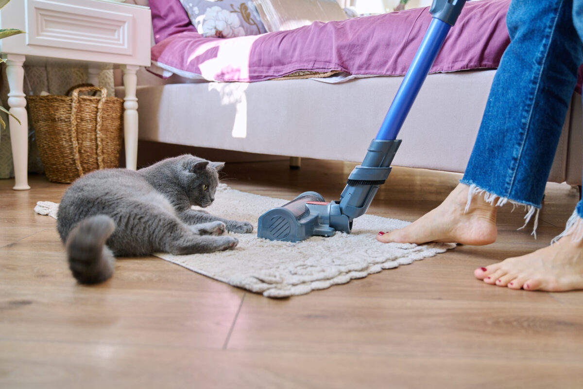 Place une chaussette sur l'aspirateur, que se passe-t-il