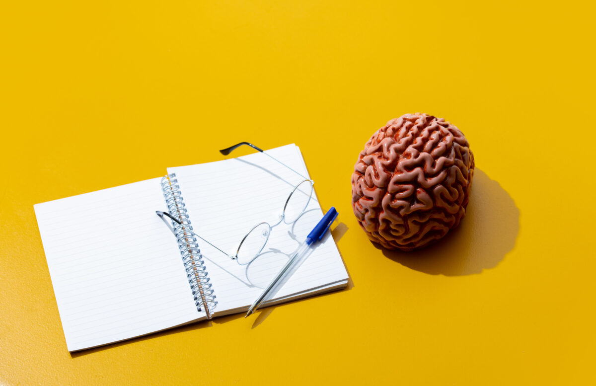 Quelles sont les particularités du cerveau des gauchers ?