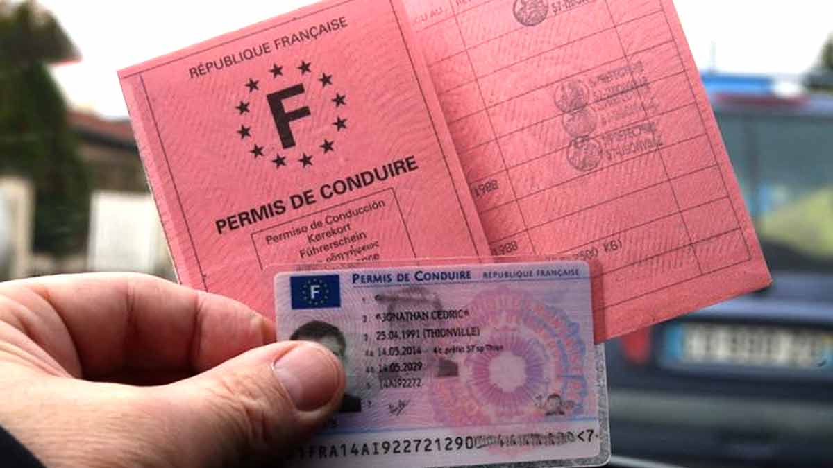 permis de conduire rose cartonné