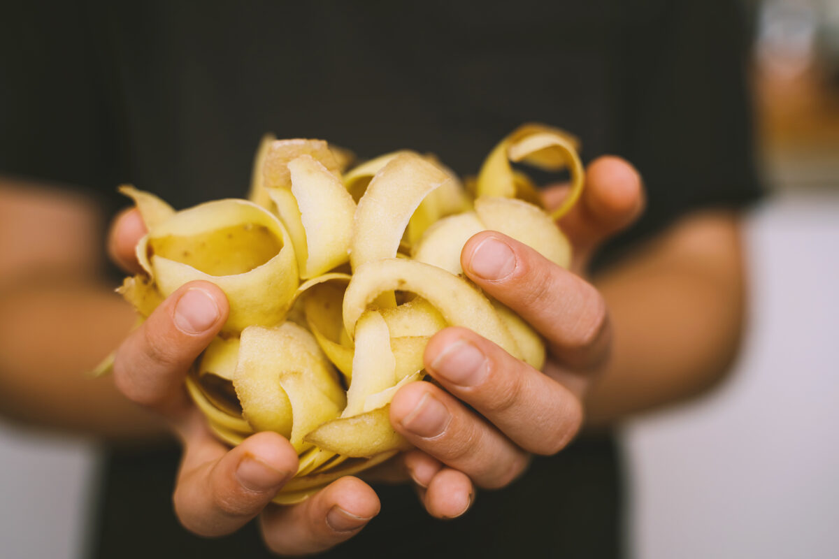 comment le faire avec des épluchures de pomme de terre ?