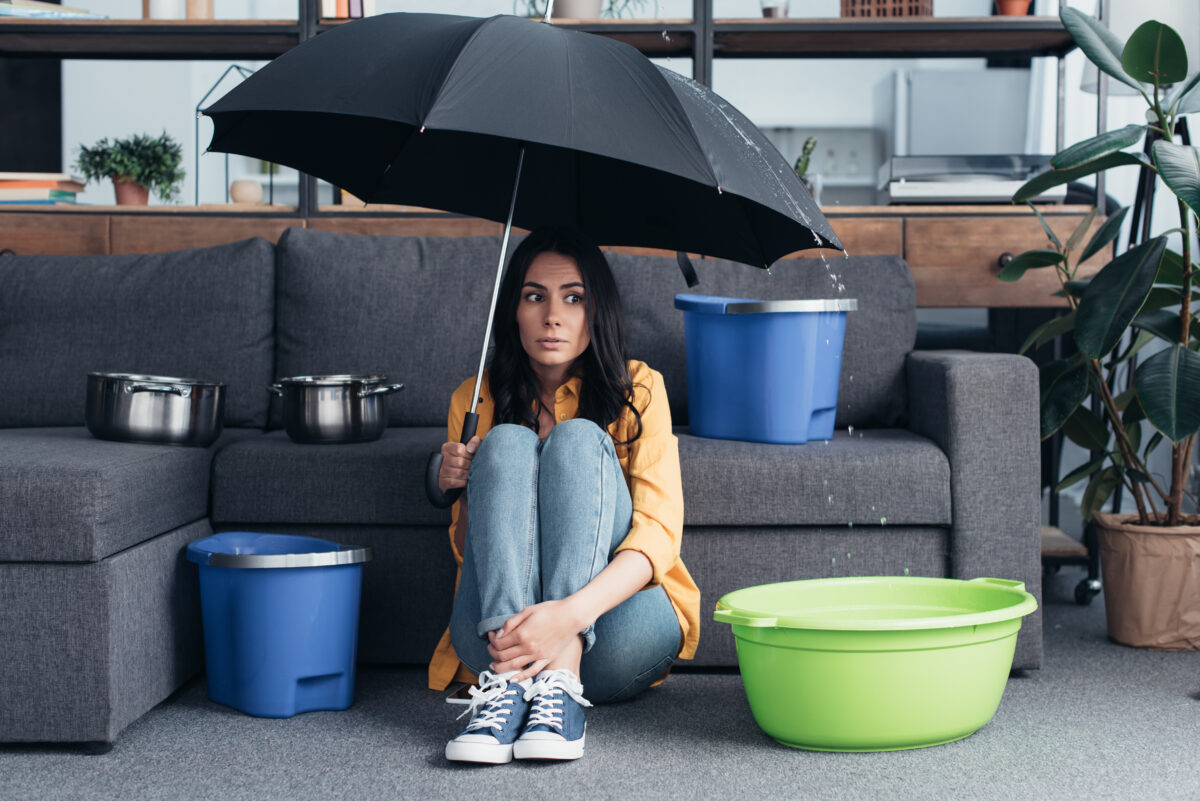 parapluie
