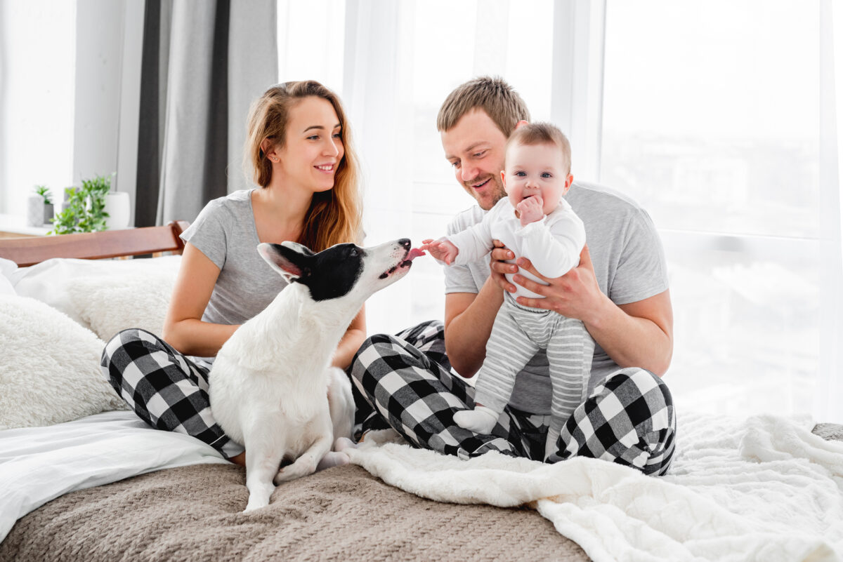 Ce que signifie vraiment quand votre chien vous lèche