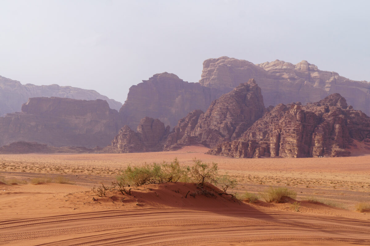 desert